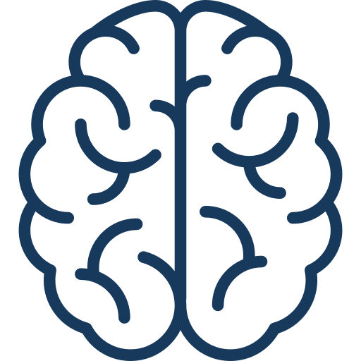 brain